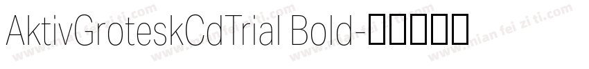 AktivGroteskCdTrial Bold字体转换